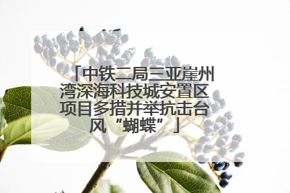 中铁二局三亚崖州湾深海科技城安置区项目多措并举抗击台风“蝴蝶”