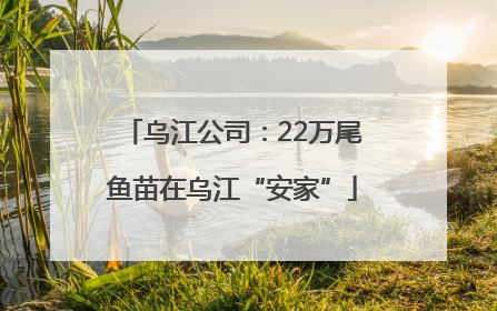 乌江公司：22万尾鱼苗在乌江“安家”