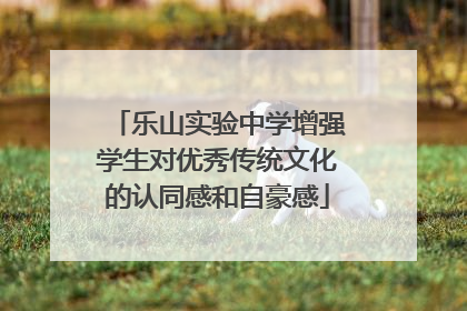 乐山实验中学增强学生对优秀传统文化的认同感和自豪感
