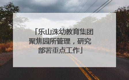 乐山洙幼教育集团聚焦园所管理，研究部署重点工作