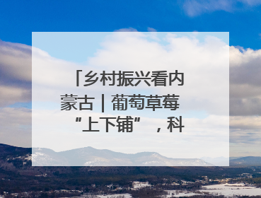乡村振兴看内蒙古｜葡萄草莓“上下铺”，科技小院“种”出三倍效益