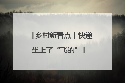 乡村新看点丨快递坐上了“飞的”