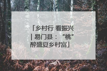 乡村行 看振兴｜易门县：“桃”醉盛夏乡村富