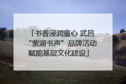 书香浸润童心 武昌“紫湖书声”品牌活动赋能基层文化建设
