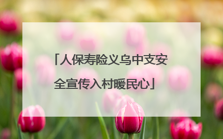 人保寿险义乌中支安全宣传入村暖民心