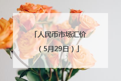 人民币市场汇价（5月29日）