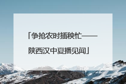 争抢农时插秧忙——陕西汉中夏播见闻