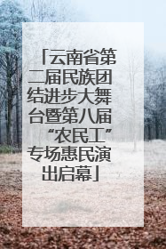 云南省第二届民族团结进步大舞台暨第八届“农民工”专场惠民演出启幕