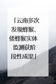 云南多次发现蜂猴、倭蜂猴实体 监测获阶段性成果