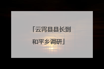 云霄县县长到和平乡调研