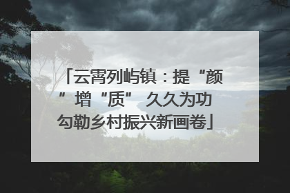 云霄列屿镇：提“颜”增“质” 久久为功勾勒乡村振兴新画卷