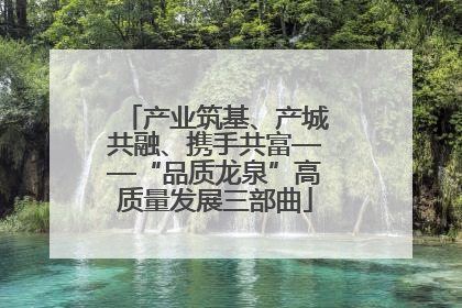 产业筑基、产城共融、携手共富——“品质龙泉”高质量发展三部曲
