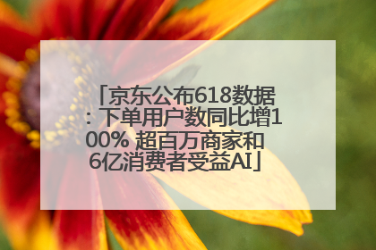 京东公布618数据：下单用户数同比增100% 超百万商家和6亿消费者受益AI