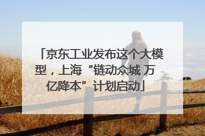 京东工业发布这个大模型，上海“链动众城 万亿降本”计划启动