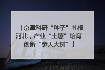 京津科研“种子”扎根河北，产业“土壤”培育创新“参天大树”