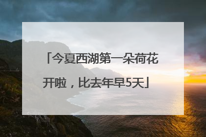 今夏西湖第一朵荷花开啦，比去年早5天
