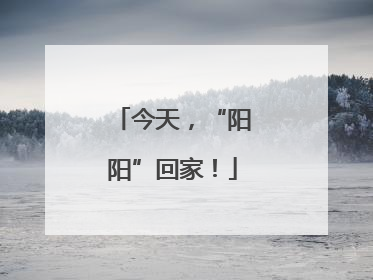 今天，“阳阳”回家！
