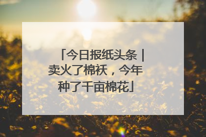 今日报纸头条｜卖火了棉袄，今年种了千亩棉花