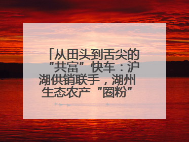 从田头到舌尖的“共富”快车：沪湖供销联手，湖州生态农产“圈粉”大上海