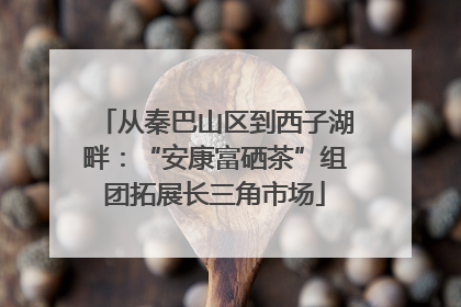 从秦巴山区到西子湖畔：“安康富硒茶”组团拓展长三角市场