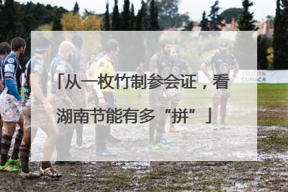 从一枚竹制参会证，看湖南节能有多“拼”