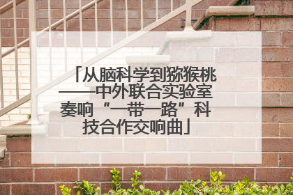 从脑科学到猕猴桃——中外联合实验室奏响“一带一路”科技合作交响曲