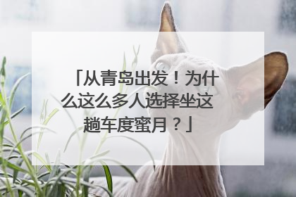 从青岛出发！为什么这么多人选择坐这趟车度蜜月？