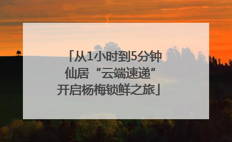 从1小时到5分钟 仙居“云端速递”开启杨梅锁鲜之旅