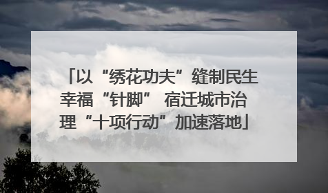 以“绣花功夫”缝制民生幸福“针脚” 宿迁城市治理“十项行动”加速落地