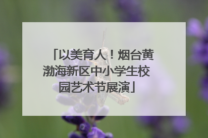 以美育人！烟台黄渤海新区中小学生校园艺术节展演