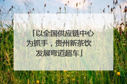 以全国供应链中心为抓手，贵州新茶饮发展弯道超车