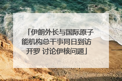 伊朗外长与国际原子能机构总干事同日到访开罗 讨论伊核问题
