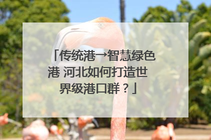 传统港→智慧绿色港 河北如何打造世界级港口群？