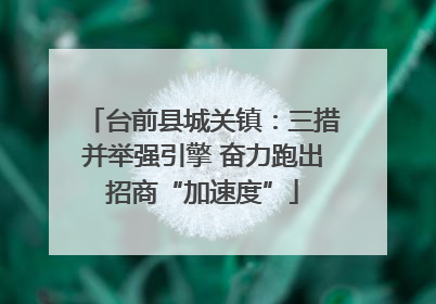 台前县城关镇：三措并举强引擎 奋力跑出招商“加速度”