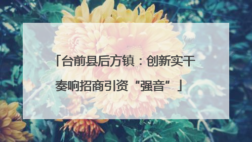 台前县后方镇：创新实干奏响招商引资“强音”