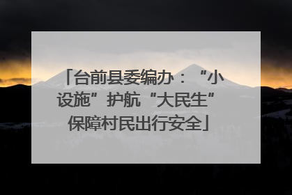 台前县委编办：“小设施”护航“大民生” 保障村民出行安全