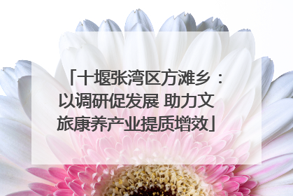 十堰张湾区方滩乡：以调研促发展 助力文旅康养产业提质增效