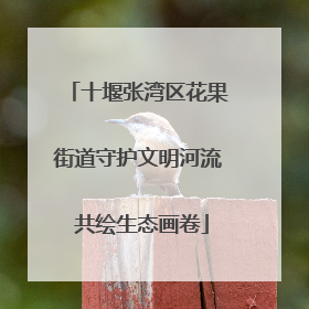 十堰张湾区花果街道守护文明河流 共绘生态画卷