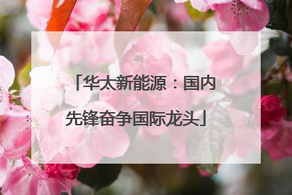 华太新能源：国内先锋奋争国际龙头