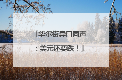 华尔街异口同声：美元还要跌！