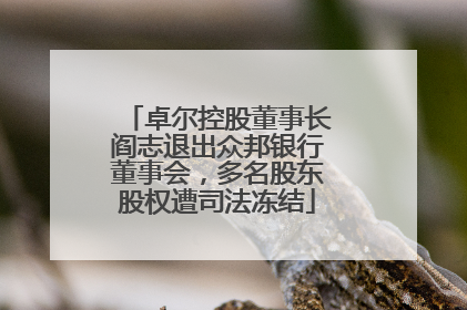 卓尔控股董事长阎志退出众邦银行董事会，多名股东股权遭司法冻结
