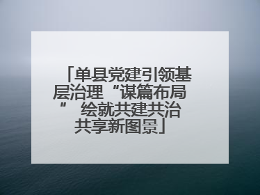 单县党建引领基层治理“谋篇布局” 绘就共建共治共享新图景
