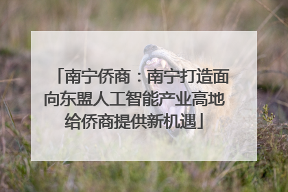 南宁侨商：南宁打造面向东盟人工智能产业高地给侨商提供新机遇