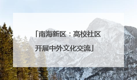南海新区：高校社区开展中外文化交流