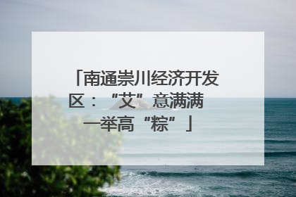 南通崇川经济开发区：“艾”意满满 一举高“粽”