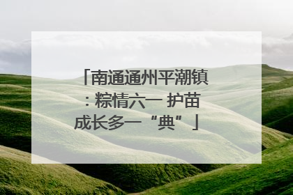 南通通州平潮镇：粽情六一 护苗成长多一“典”