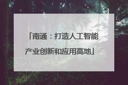 南通：打造人工智能产业创新和应用高地