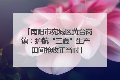 南阳市宛城区黄台岗镇：护航“三夏”生产 田间抢收正当时