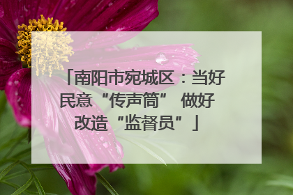 南阳市宛城区：当好民意“传声筒” 做好改造“监督员”