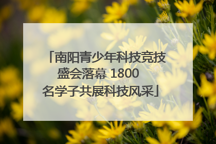 南阳青少年科技竞技盛会落幕 1800 名学子共展科技风采